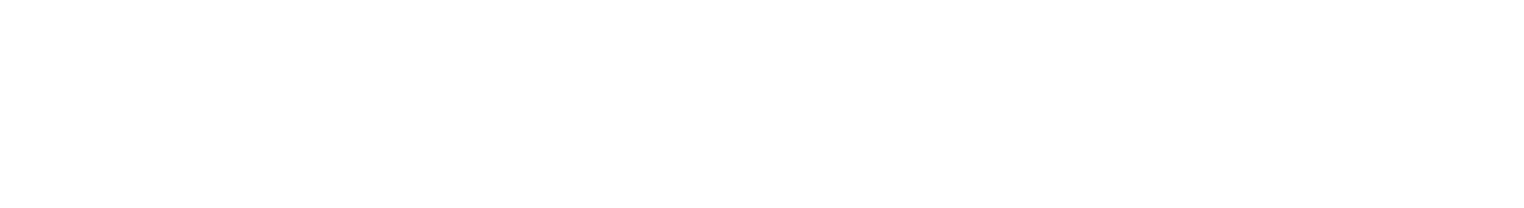 SuiteFleet Logo